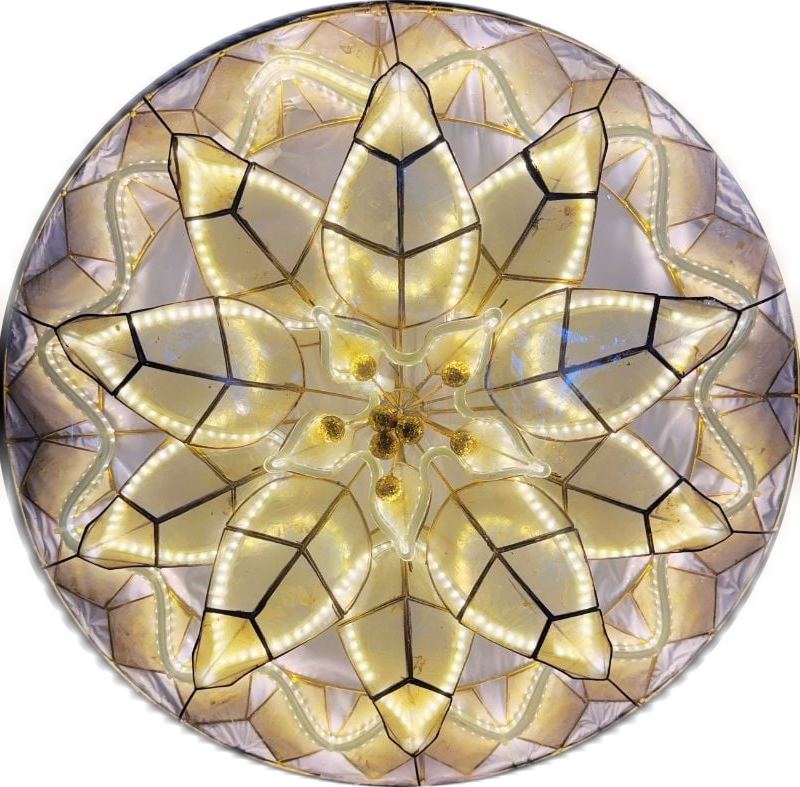 POINSETTIA PC2