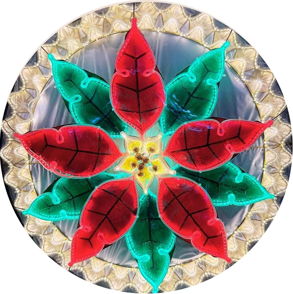 POINSETTIA PC4