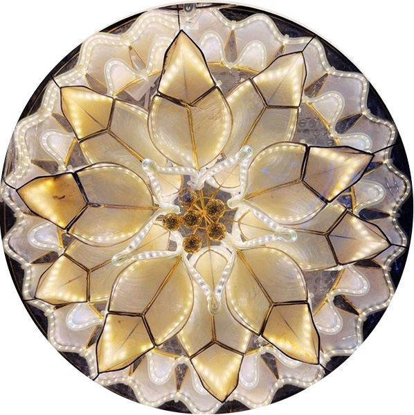 POINSETTIA PC7