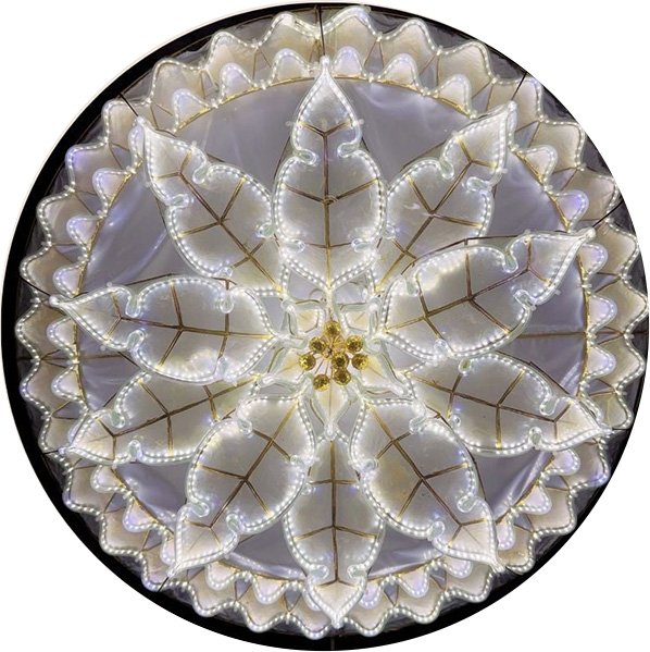 POINSETTIA PC8